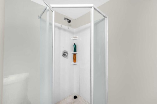 4 Saddlecreek Terrace Ne, Calgary, AB - Indoor Photo Showing Bathroom