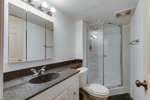 100 Allandale Close Se, Calgary, AB - Indoor Photo Showing Bathroom