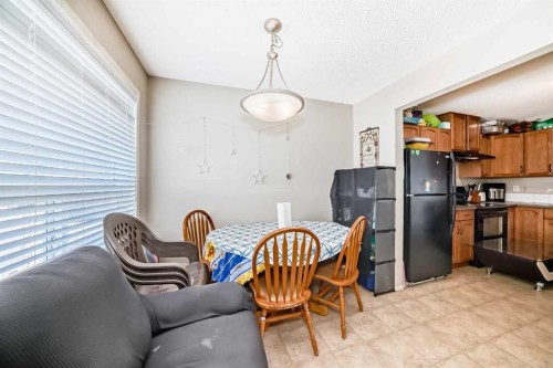 147 Saddlebrook Point Ne, Calgary, AB - Indoor