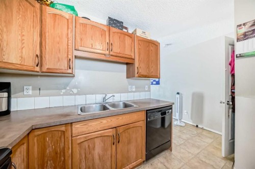 147 Saddlebrook Point Ne, Calgary, AB - Indoor Photo Showing Kitchen With Double Sink