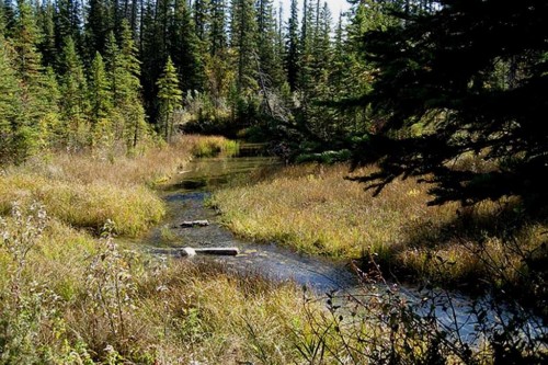 518-30 Discovery Ridge Close Sw, Calgary, AB - Outdoor With View