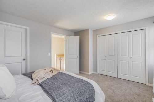 292 Falton Drive Ne, Calgary, AB - Indoor Photo Showing Bedroom