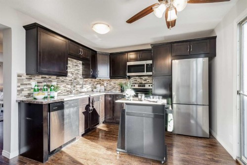 292 Falton Drive Ne, Calgary, AB - Indoor Photo Showing Kitchen With Upgraded Kitchen