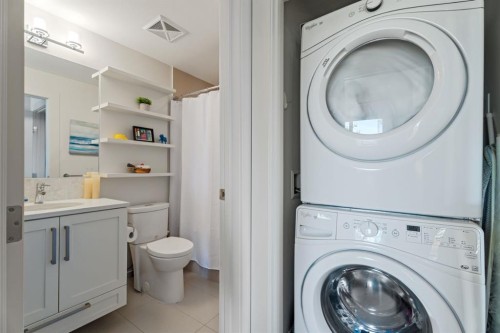 315-46 9 Street Ne, Calgary, AB - Indoor Photo Showing Laundry Room