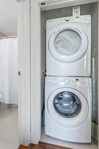 315-46 9 Street Ne, Calgary, AB - Indoor Photo Showing Laundry Room