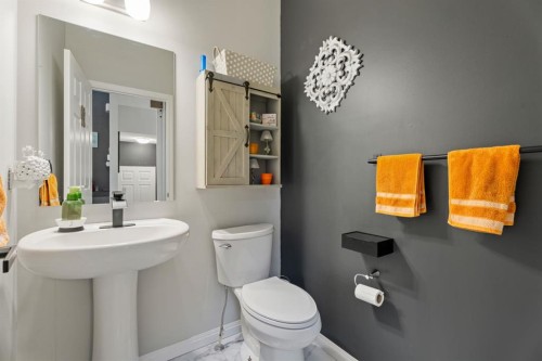 178 Buckskin Way, Cochrane, AB - Indoor Photo Showing Bathroom
