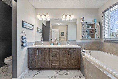 178 Buckskin Way, Cochrane, AB - Indoor Photo Showing Bathroom