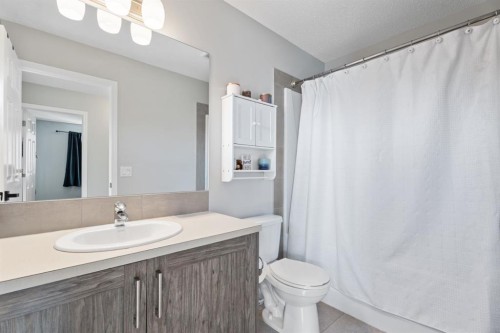 178 Buckskin Way, Cochrane, AB - Indoor Photo Showing Bathroom