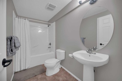 154 Bridlewood Court Sw, Calgary, AB - Indoor Photo Showing Bathroom