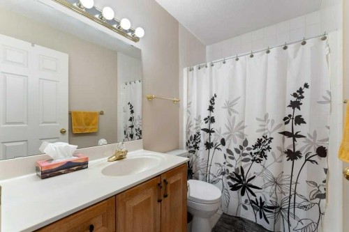 10 Grande Point Estates, Strathmore, AB - Indoor Photo Showing Bathroom