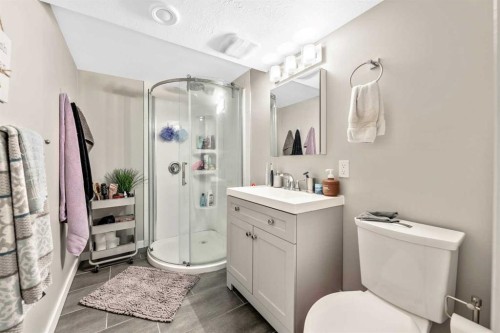223 Brookpark Drive Sw, Calgary, AB - Indoor Photo Showing Bathroom