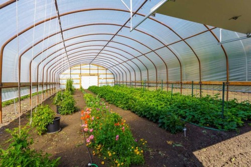 10 & 20-30061 Range Road 23, Rural Mountain View County, AB - 