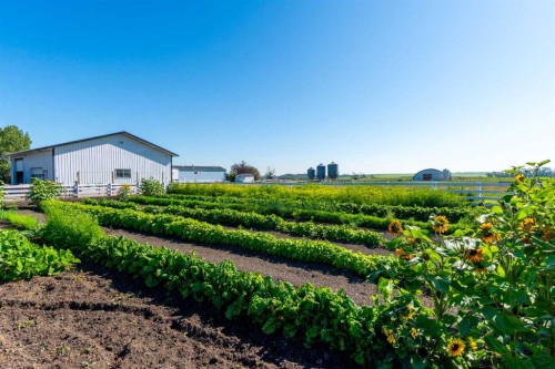 10 & 20-30061 Range Road 23, Rural Mountain View County, AB - Outdoor