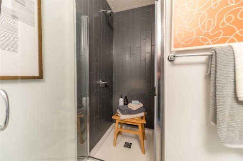 903-60 Howse Lane Ne, Calgary, AB - Indoor Photo Showing Bathroom
