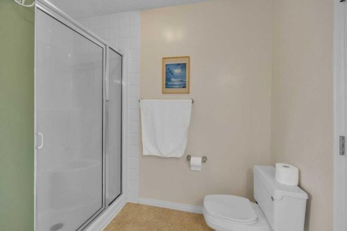 550 Copperfield Boulevard Se, Calgary, AB - Indoor Photo Showing Bathroom