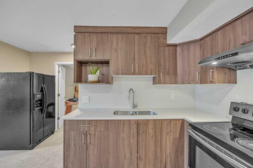 550 Copperfield Boulevard Se, Calgary, AB - Indoor Photo Showing Kitchen