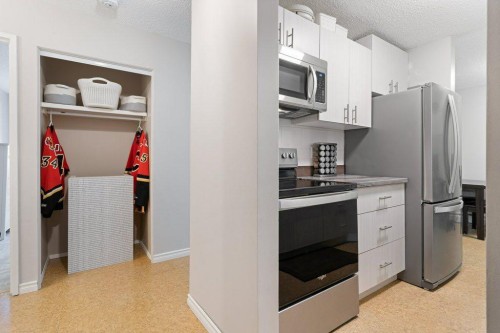 504-8948 Elbow Drive Sw, Calgary, AB - Indoor Photo Showing Kitchen