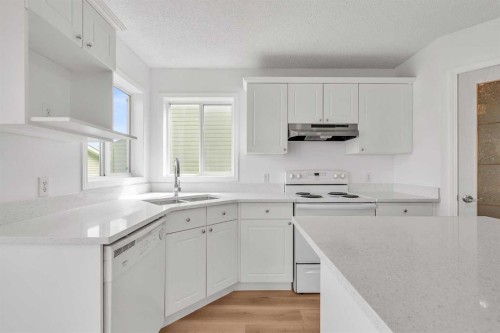 1149 Martindale Boulevard Ne, Calgary, AB - Indoor Photo Showing Kitchen With Double Sink