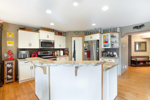 196 Brightondale Close Se, Calgary, AB - Indoor Photo Showing Kitchen