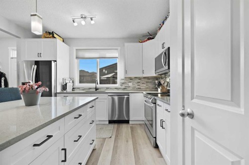 798 Walden Drive Se, Calgary, AB - Indoor Photo Showing Kitchen With Upgraded Kitchen
