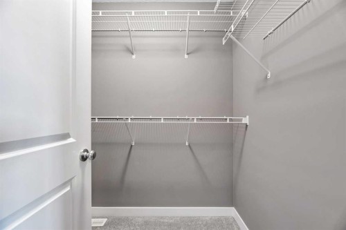 357 Skyview Ranch Road Ne, Calgary, AB - Indoor With Storage