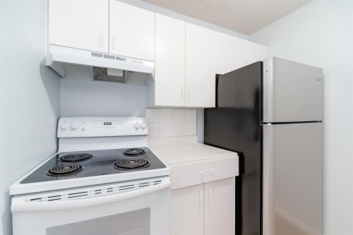 151 F Pinehill Road Ne, Calgary, AB - Indoor Photo Showing Kitchen