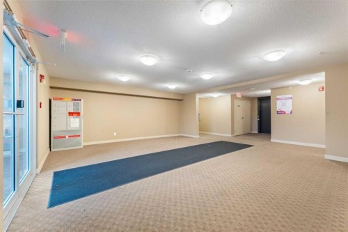 102-15 Saddlestone Way Ne, Calgary, AB - Indoor