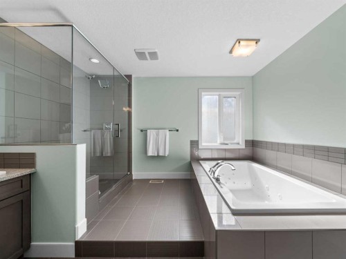 95 Mahogany Manor Se, Calgary, AB - Indoor Photo Showing Bathroom