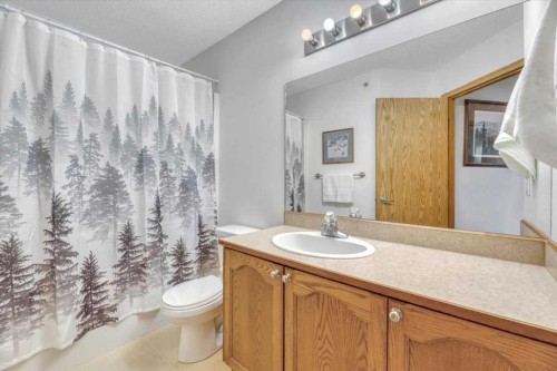 308-11 Somervale View Sw, Calgary, AB - Indoor Photo Showing Bathroom
