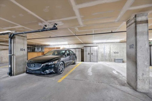 308-11 Somervale View Sw, Calgary, AB - Indoor Photo Showing Garage