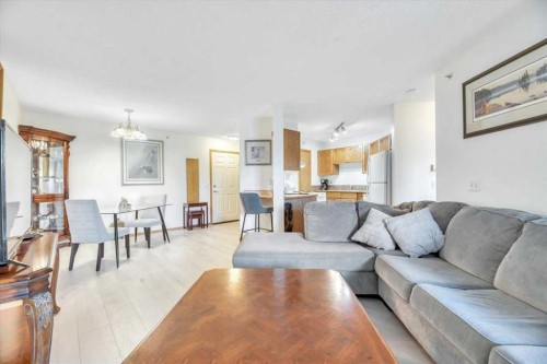 308-11 Somervale View Sw, Calgary, AB - Indoor Photo Showing Living Room