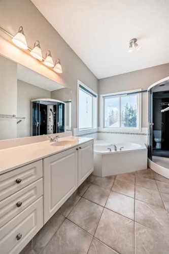 191 West Springs Close Sw, Calgary, AB - Indoor Photo Showing Bathroom