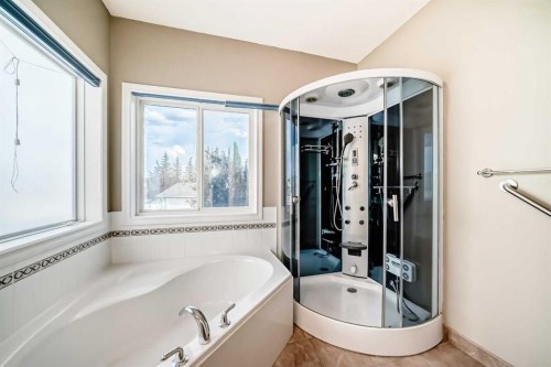 191 West Springs Close Sw, Calgary, AB - Indoor Photo Showing Bathroom