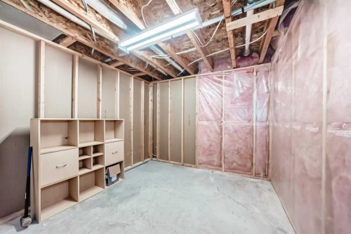 191 West Springs Close Sw, Calgary, AB - Indoor Photo Showing Basement