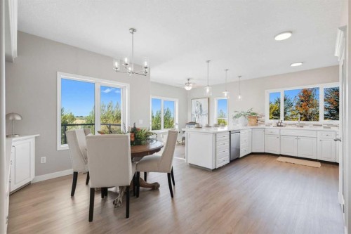 252047 Township Road 252, Rural Wheatland County, AB - Indoor