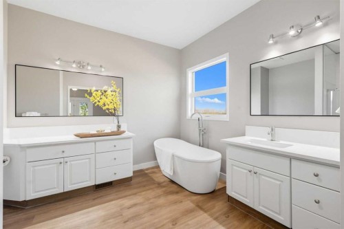 252047 Township Road 252, Rural Wheatland County, AB - Indoor Photo Showing Bathroom