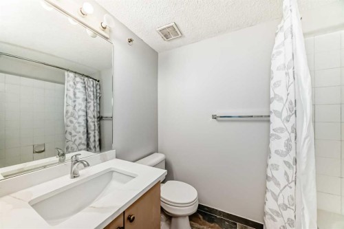 425-1717 60 Street Se, Calgary, AB - Indoor Photo Showing Bathroom