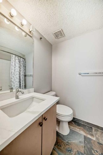 425-1717 60 Street Se, Calgary, AB - Indoor Photo Showing Bathroom