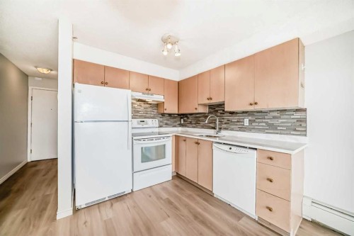 425-1717 60 Street Se, Calgary, AB - Indoor Photo Showing Kitchen With Double Sink