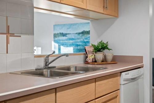 319-723 57 Avenue Sw, Calgary, AB - Indoor Photo Showing Kitchen With Double Sink