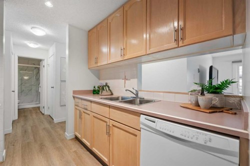 319-723 57 Avenue Sw, Calgary, AB - Indoor Photo Showing Kitchen With Double Sink