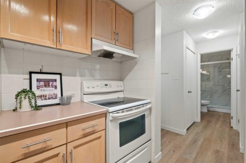 319-723 57 Avenue Sw, Calgary, AB - Indoor Photo Showing Kitchen