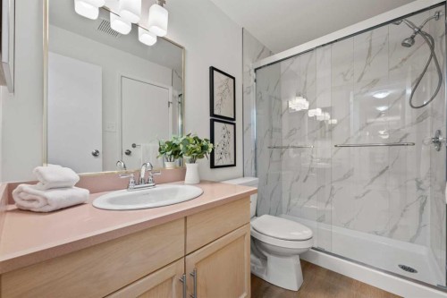 319-723 57 Avenue Sw, Calgary, AB - Indoor Photo Showing Bathroom