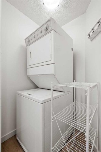 319-723 57 Avenue Sw, Calgary, AB - Indoor Photo Showing Laundry Room