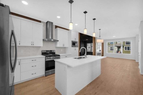61 Savanna Place Ne, Calgary, AB - Indoor Photo Showing Kitchen With Double Sink With Upgraded Kitchen