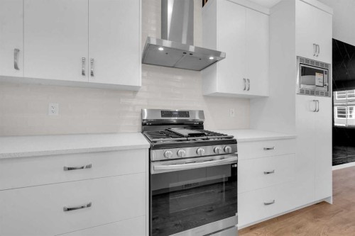 61 Savanna Place Ne, Calgary, AB - Indoor Photo Showing Kitchen