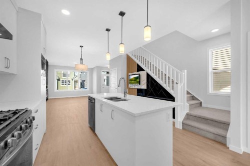 61 Savanna Place Ne, Calgary, AB - Indoor Photo Showing Kitchen With Double Sink With Upgraded Kitchen