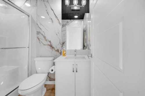 61 Savanna Place Ne, Calgary, AB - Indoor Photo Showing Bathroom