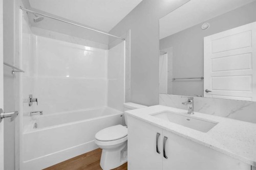 61 Savanna Place Ne, Calgary, AB - Indoor Photo Showing Bathroom