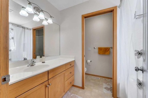 77 Taralea Green Ne, Calgary, AB - Indoor Photo Showing Bathroom